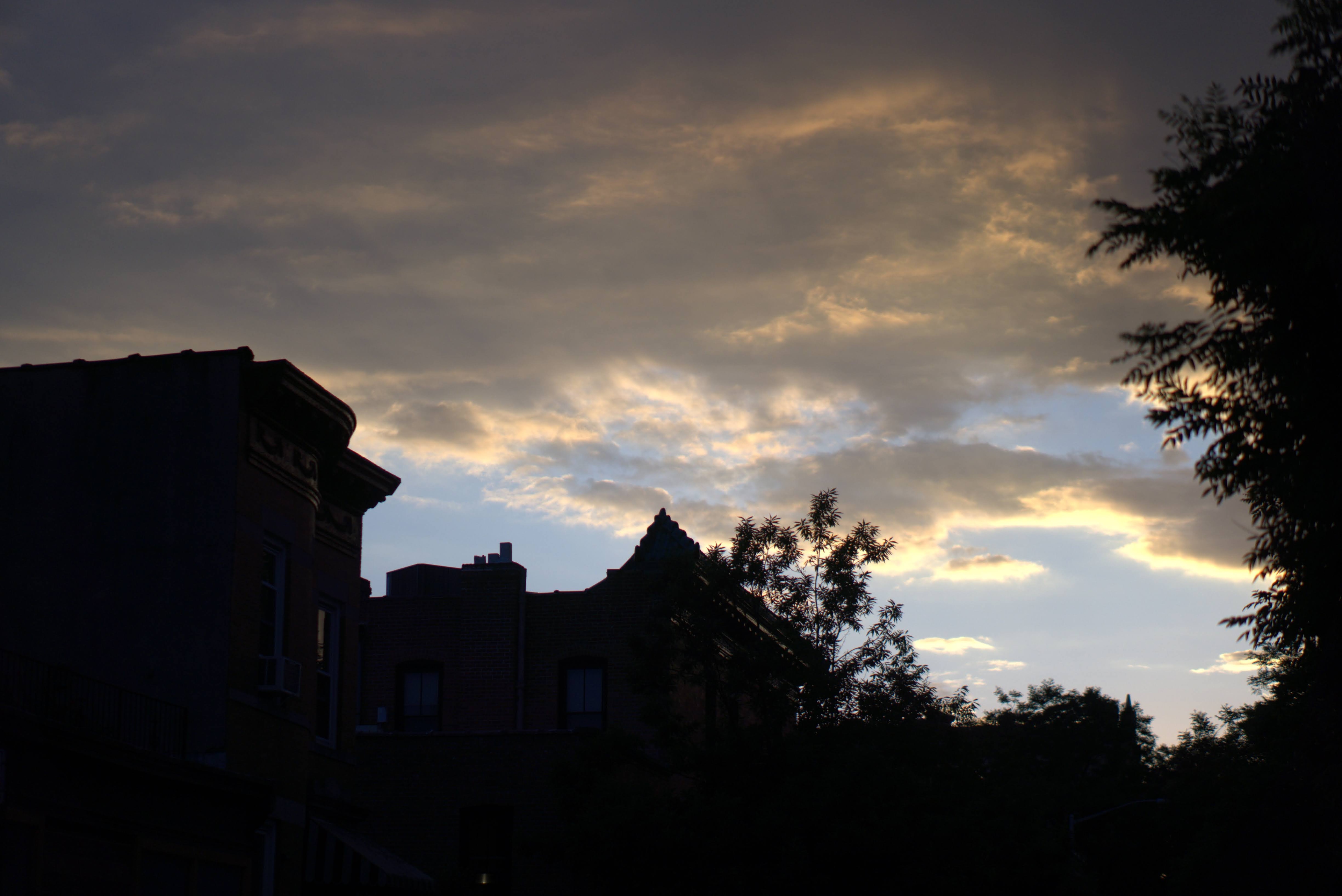 Rooftops, Dusk
